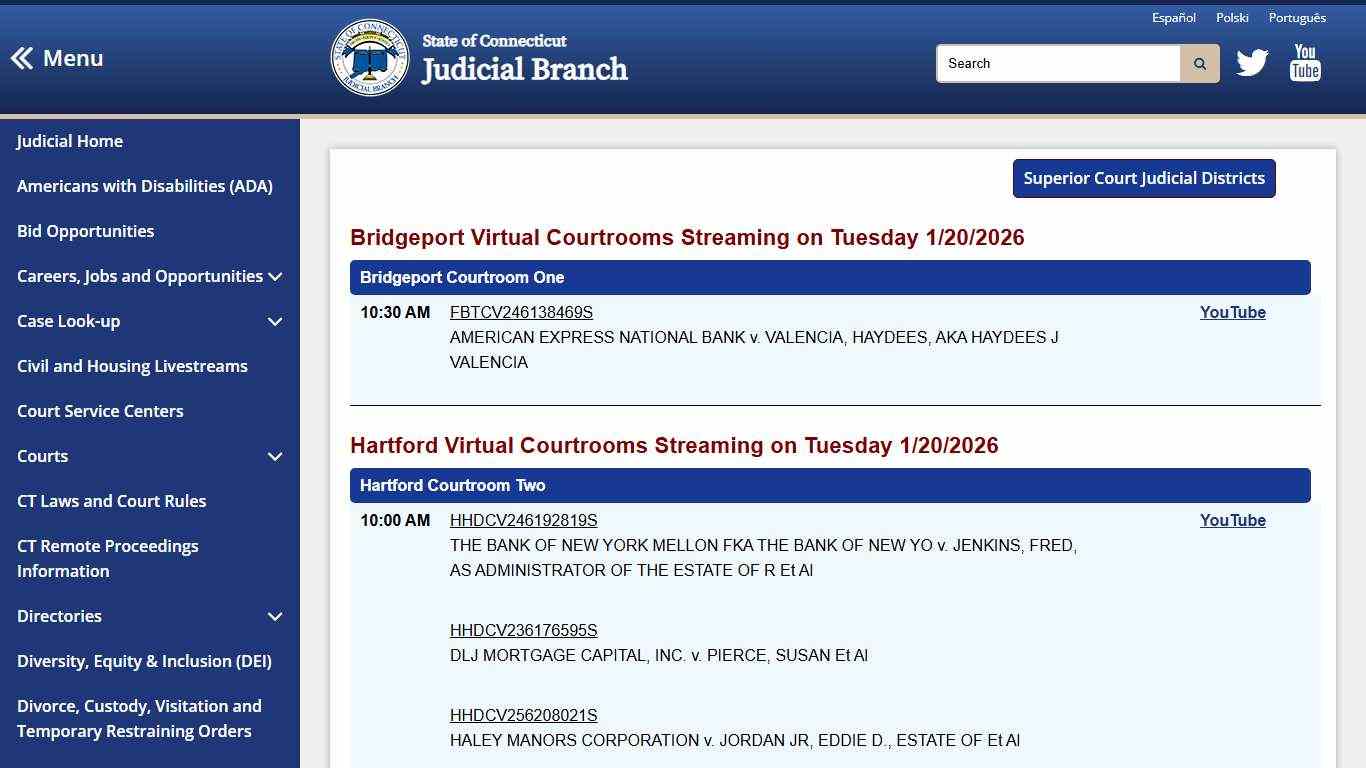 CT Judicial - Public Access